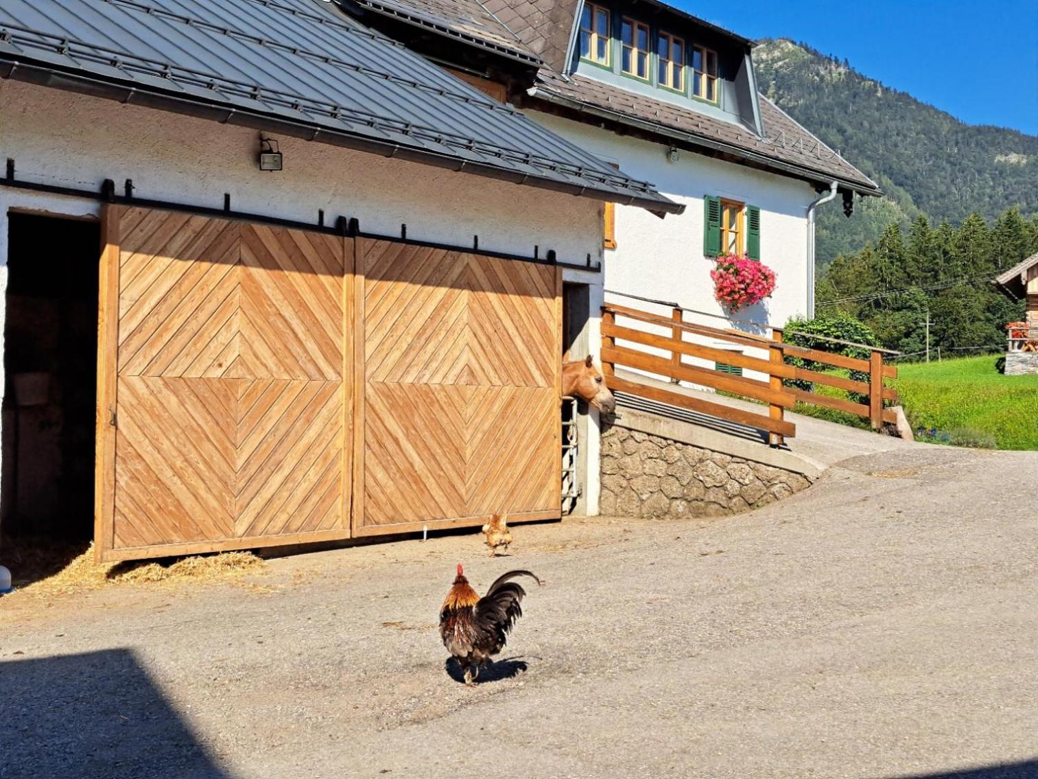Ferienhof Brunbacher Wolfgangsee Sankt Wolfgang im Salzkammergut Экстерьер фото